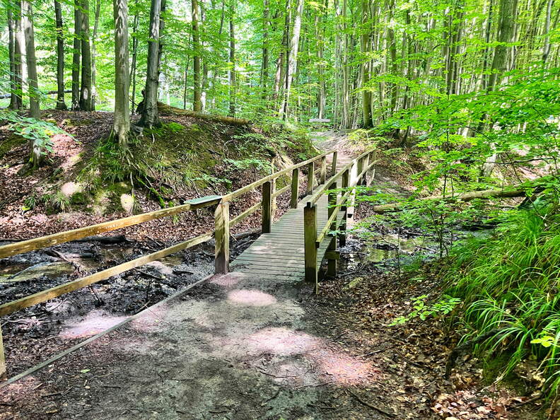 24-07-02 13-04-19 0114